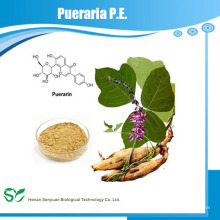 Puerariae PE / Puerarin / Radix Puerariae Extrakt / Kräuterextrakt